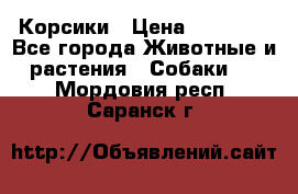 Корсики › Цена ­ 15 000 - Все города Животные и растения » Собаки   . Мордовия респ.,Саранск г.